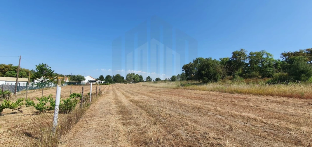 Terreno para Venda em Sado Foto 13