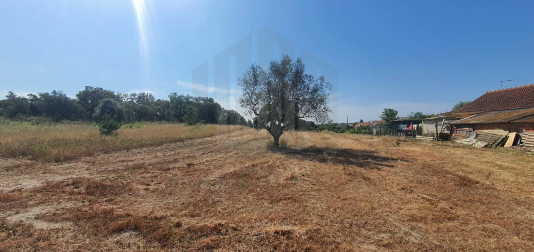 Terreno para Venda em Sado Foto 16