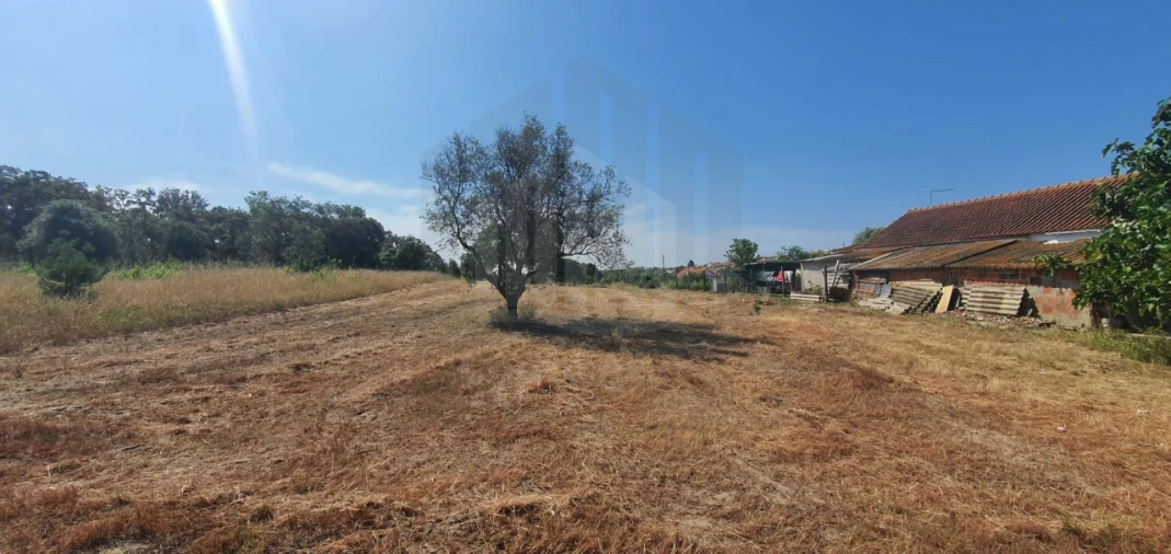 Terreno para Venda em Sado Foto 17
