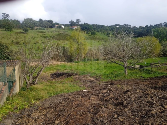 Terreno para Venda em Sesimbra (Castelo)