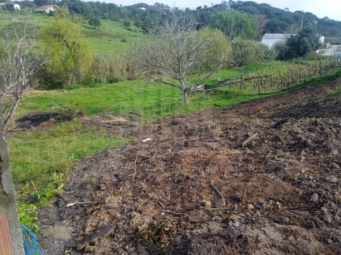 Terreno para Venda em Sesimbra (Castelo) Foto 2