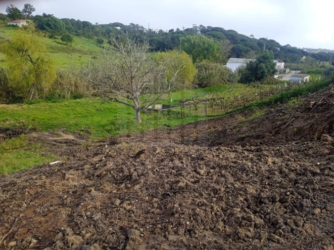 Terreno para Venda em Sesimbra (Castelo) Foto 4