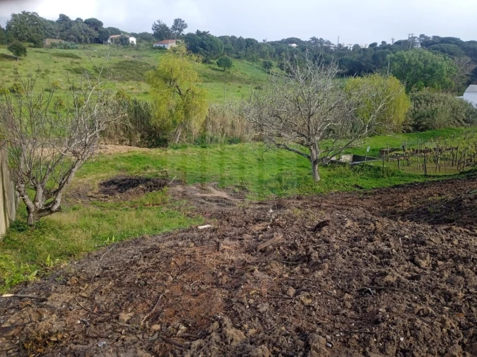 Terreno para Venda em Sesimbra (Castelo) Foto 6