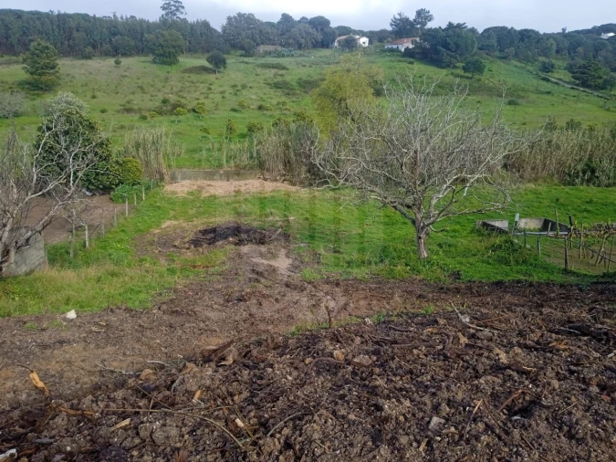 Terreno para Venda em Sesimbra (Castelo) Foto 8