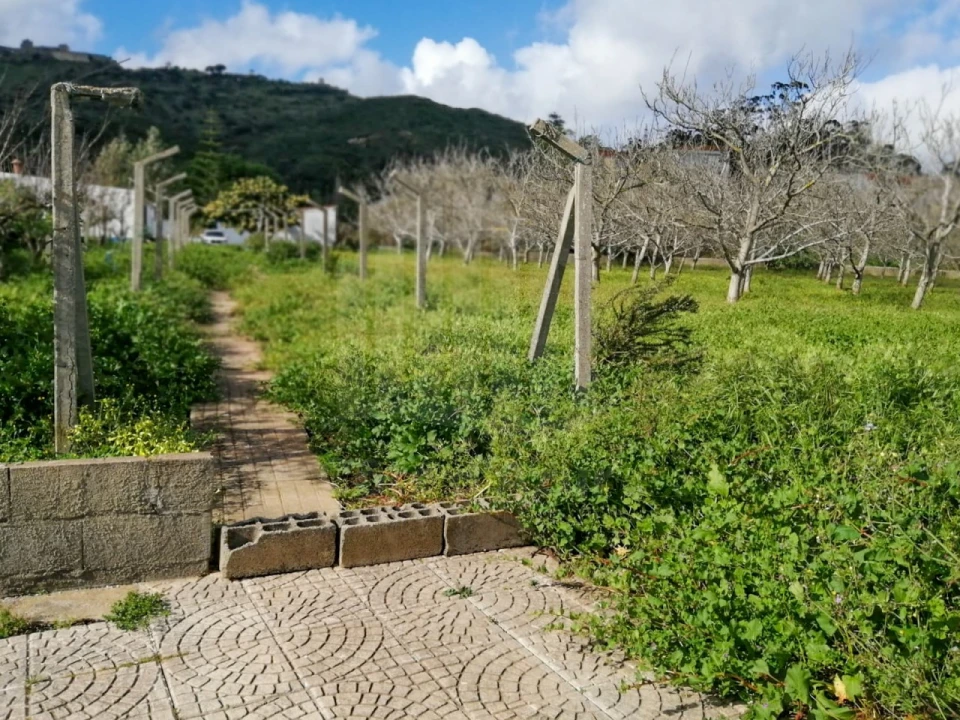 Quinta para Venda em Palmela Foto 5
