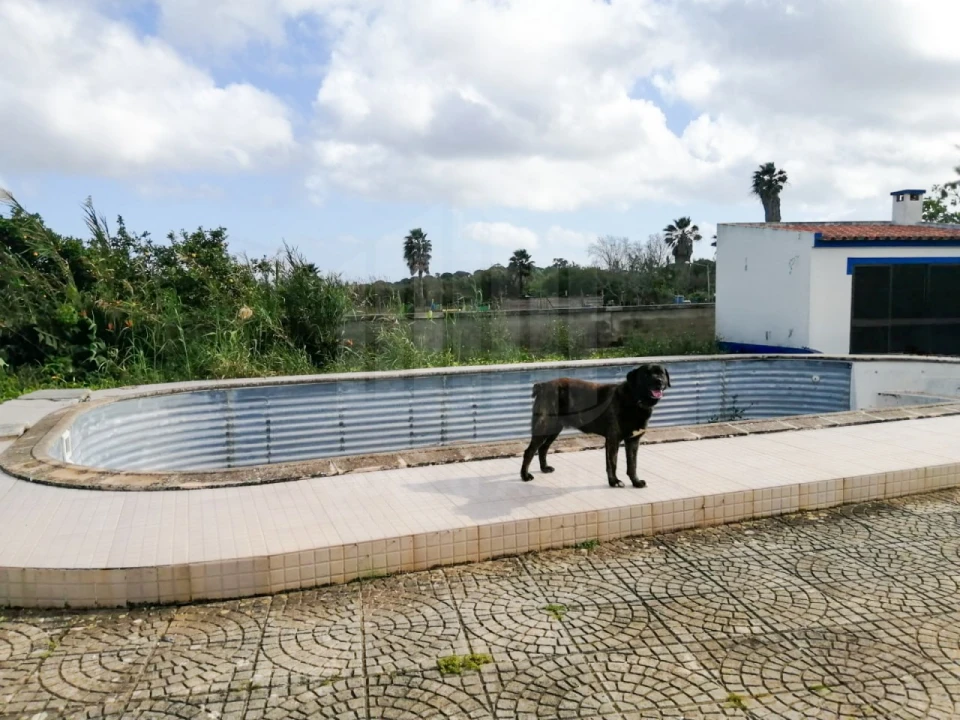 Quinta para Venda em Palmela Foto 14