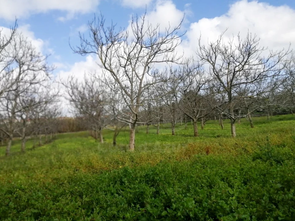 Quinta para Venda em Palmela Foto 17