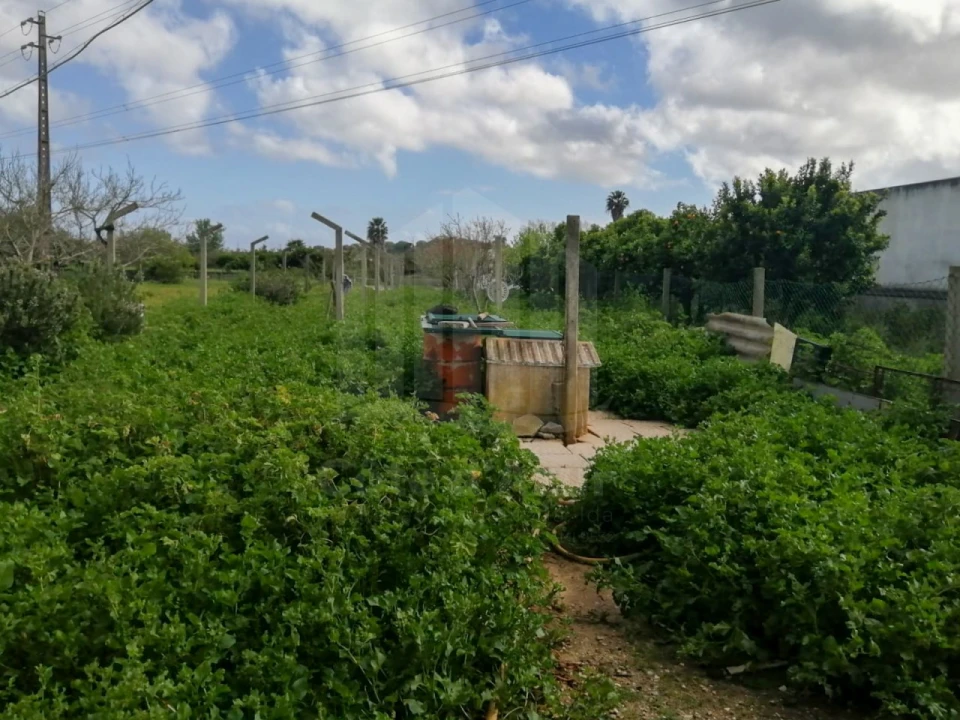 Quinta para Venda em Palmela Foto 25