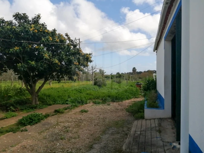 Quinta para Venda em Palmela Foto 18