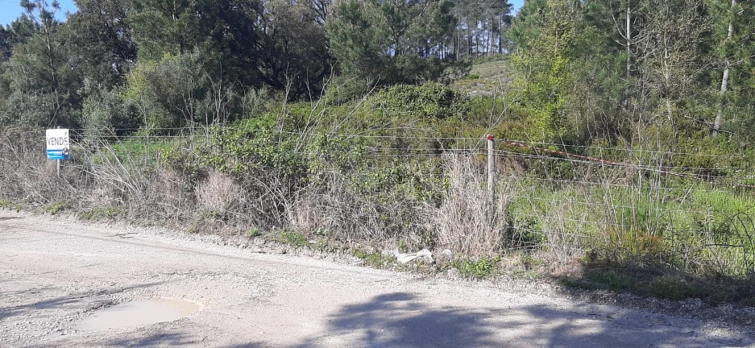 Terreno para Venda em Sesimbra (Castelo) Foto 11