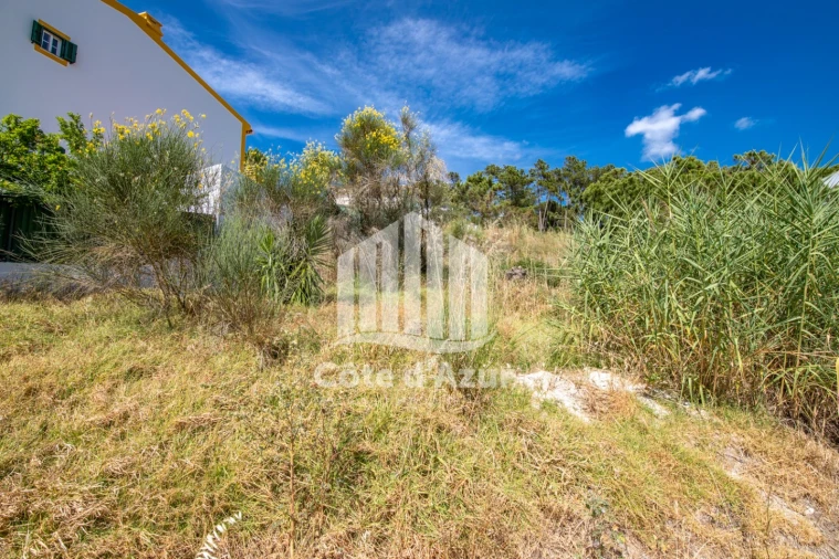 Terreno para Venda em Sesimbra (Castelo) Foto 7