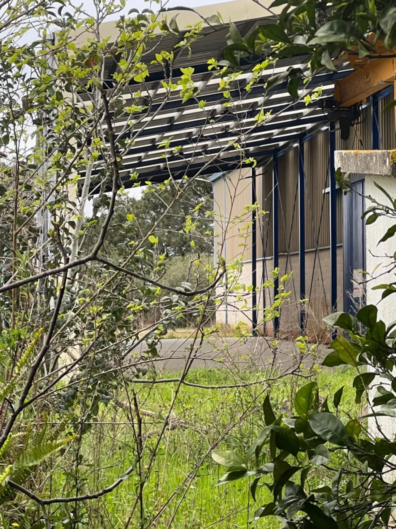 Armazém para Venda em Quinta do Anjo Foto 5