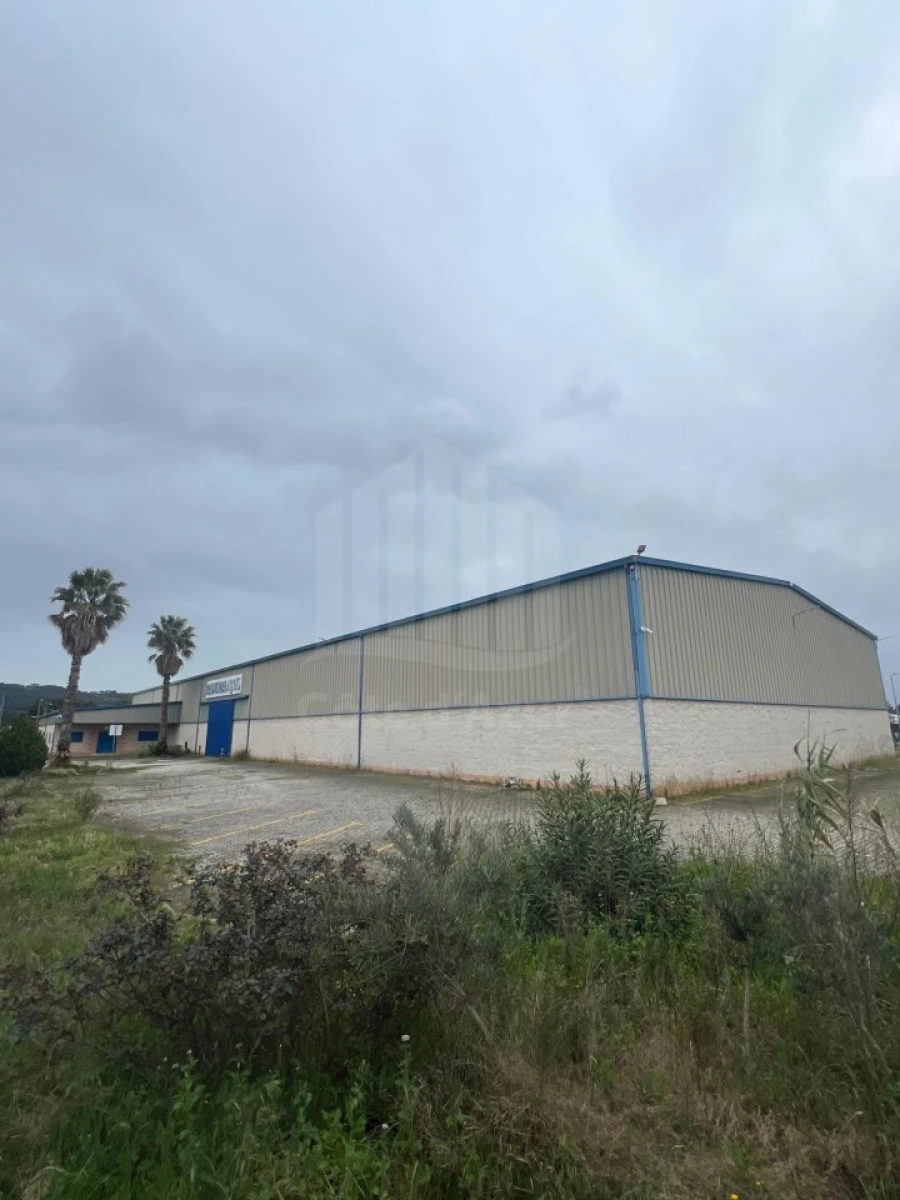 Armazém para Venda em Quinta do Anjo Foto 2