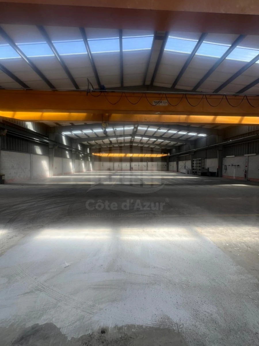 Armazém para Venda em Quinta do Anjo Foto 15