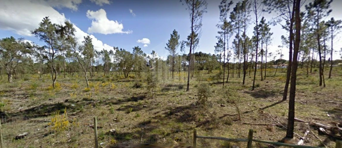Terreno para Venda em Sesimbra (Castelo) Foto 1