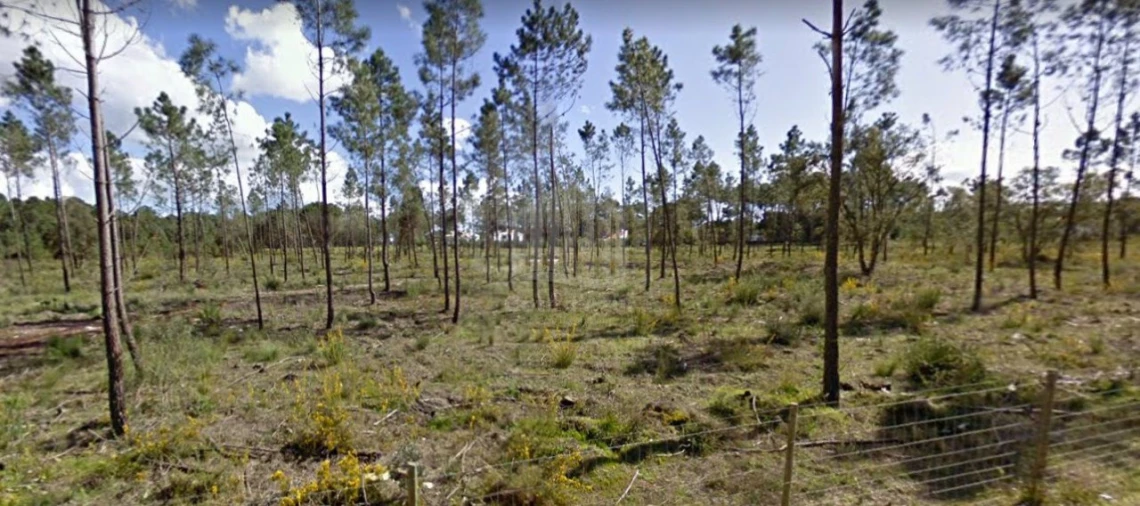 Terreno para Venda em Sesimbra (Castelo) Foto 2