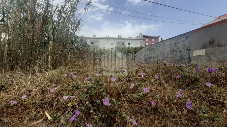 Terreno Agricola ou Rústico para Venda em Ajuda Foto 2
