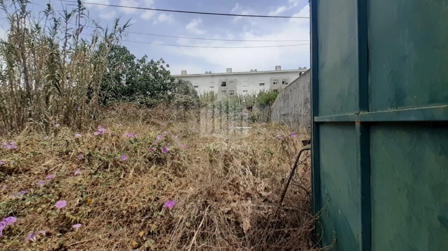 Terreno Agricola ou Rústico para Venda em Ajuda Foto 3