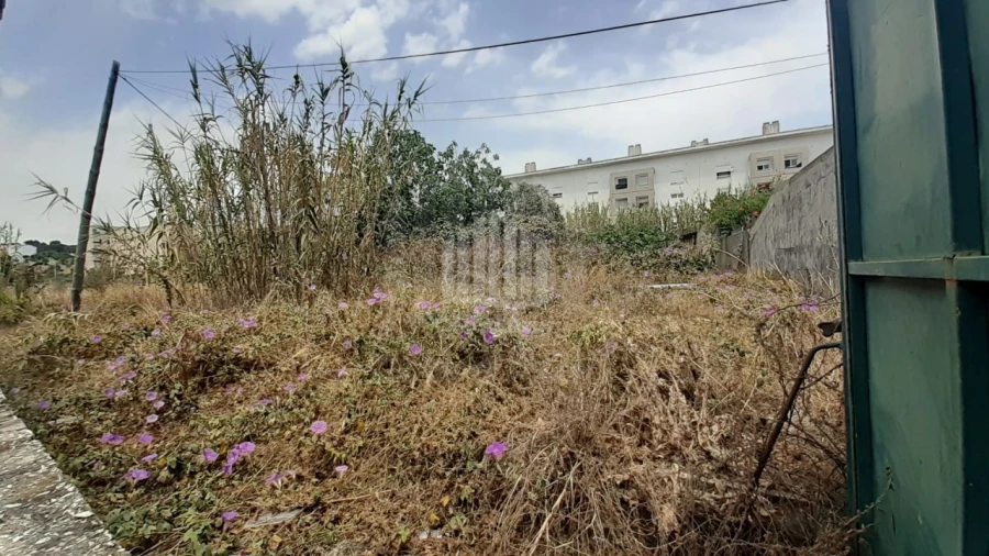 Terreno Agricola ou Rústico para Venda em Ajuda Foto 4