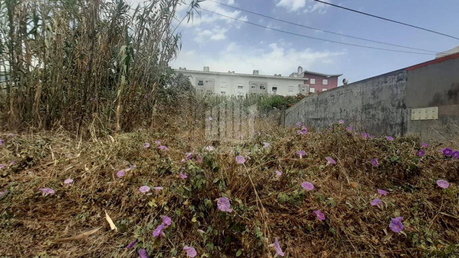 Terreno Agricola ou Rústico para Venda em Ajuda Foto 1