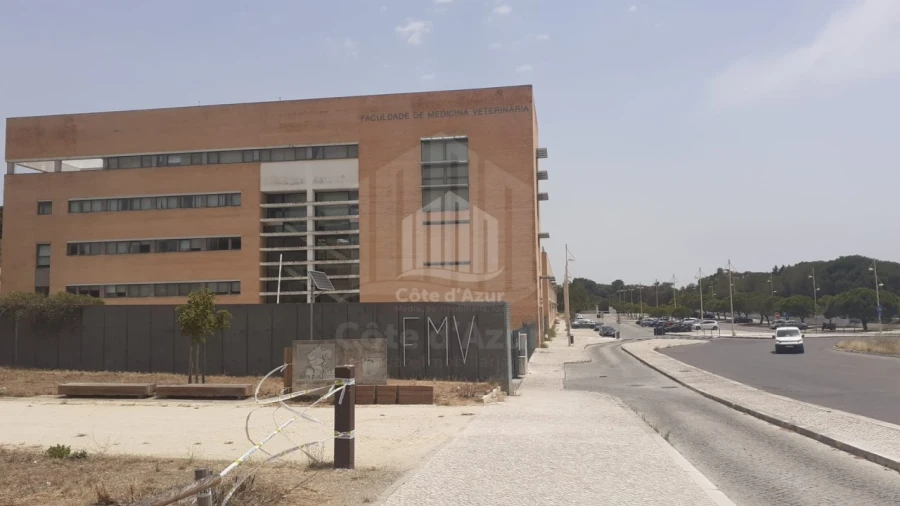 Terreno Agricola ou Rústico para Venda em Ajuda Foto 7