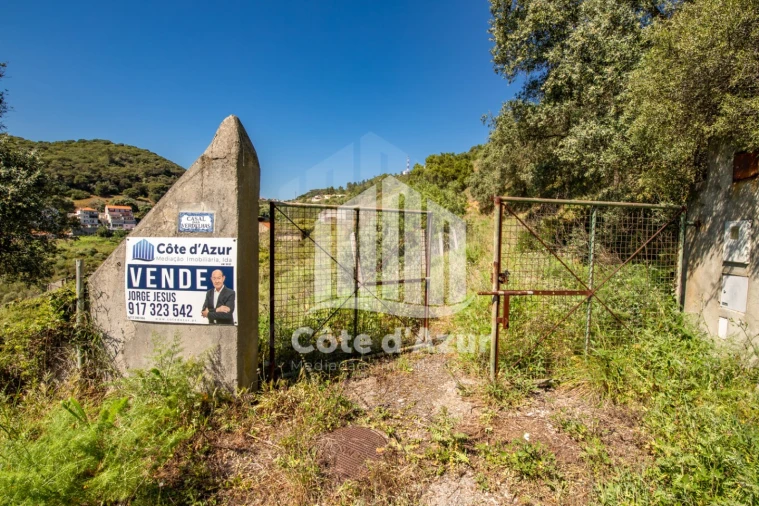 Terreno para Venda em Sesimbra (Castelo) Foto 6