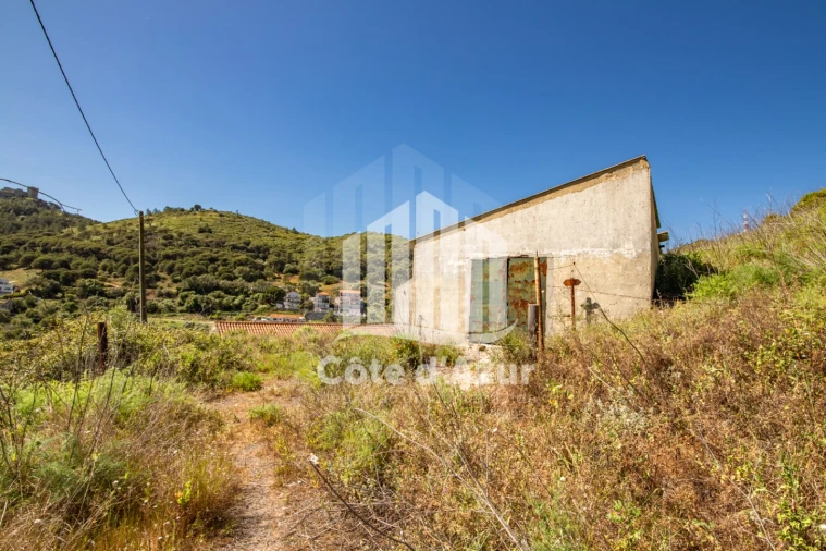 Terreno para Venda em Sesimbra (Castelo) Foto 11