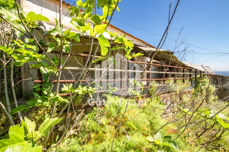 Terreno para Venda em Sesimbra (Castelo) Foto 21