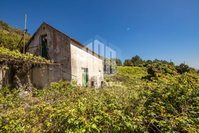 Terreno para Venda em Sesimbra (Castelo) Foto 30