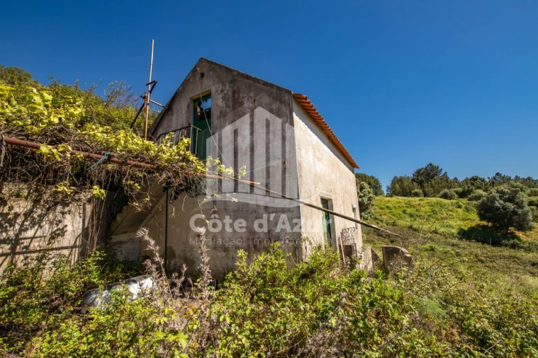 Terreno para Venda em Sesimbra (Castelo) Foto 32