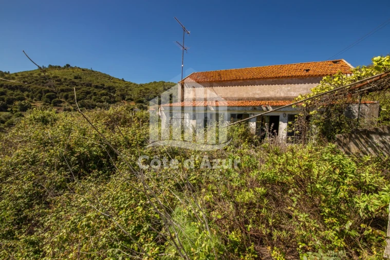Terreno para Venda em Sesimbra (Castelo) Foto 34