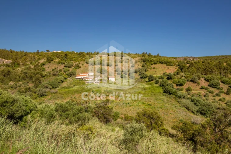 Terreno para Venda em Sesimbra (Castelo) Foto 39