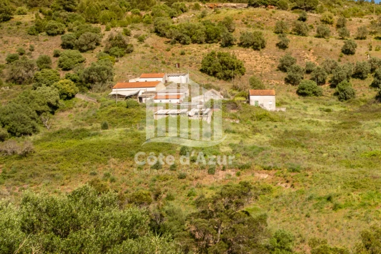 Terreno para Venda em Sesimbra (Castelo) Foto 5