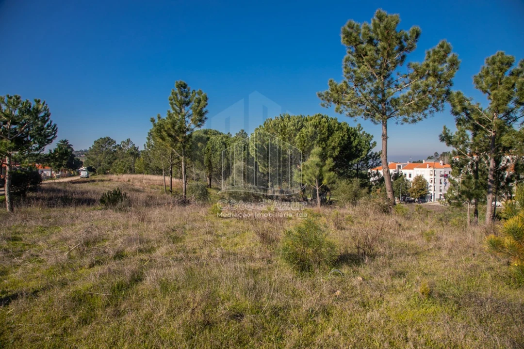Terreno para Venda em Sesimbra (Castelo) Foto 1