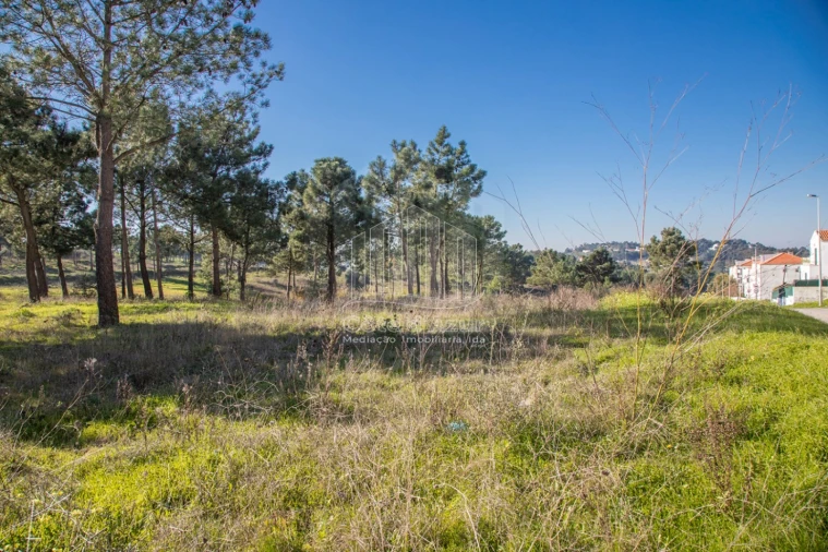 Terreno para Venda em Sesimbra (Castelo) Foto 3