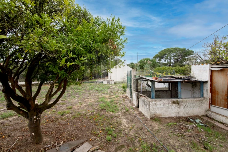 Moradia T1 para Venda em Sesimbra (Castelo) Foto 11