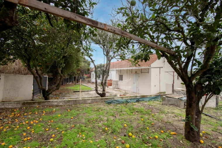 Moradia T1 para Venda em Sesimbra (Castelo) Foto 13