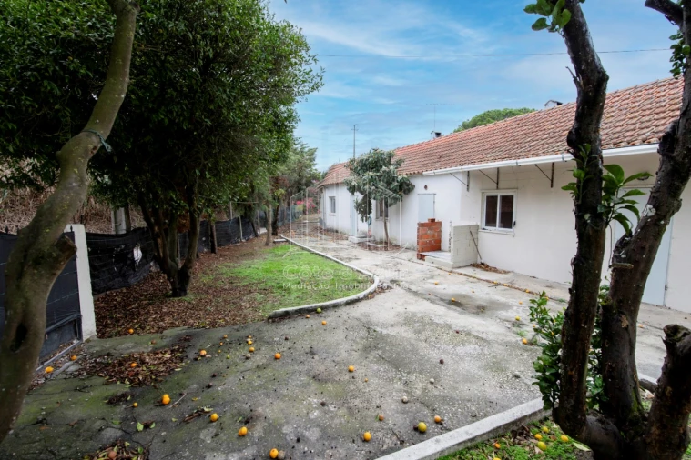 Moradia T1 para Venda em Sesimbra (Castelo) Foto 14