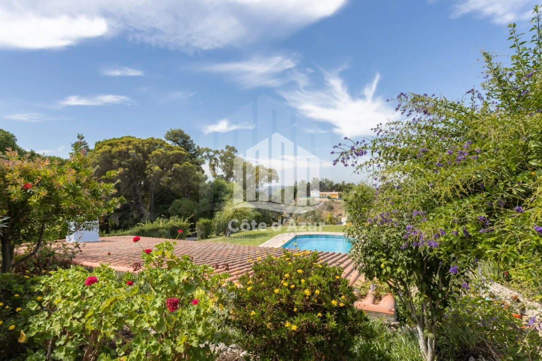 Quinta T6 para Venda em Azeitão (São Lourenço e São Simão) Foto 5
