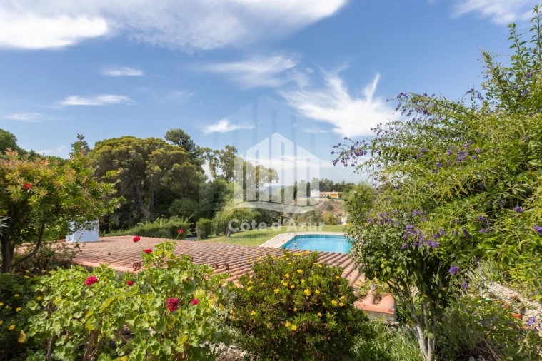 Quinta T6 para Venda em Azeitão (São Lourenço e São Simão) Foto 5