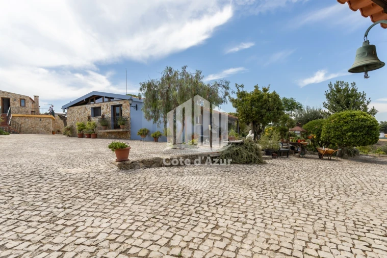 Quinta T6 para Venda em Azeitão (São Lourenço e São Simão) Foto 11