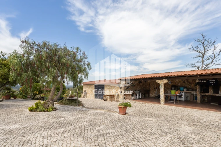 Quinta T6 para Venda em Azeitão (São Lourenço e São Simão) Foto 12