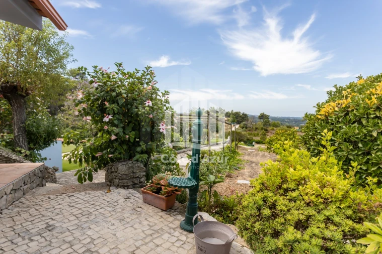 Quinta T6 para Venda em Azeitão (São Lourenço e São Simão) Foto 13