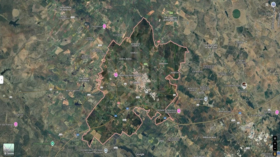 Terreno Agricola ou Rústico para Venda em Estremoz (Santa Maria e Santo André) Foto 1