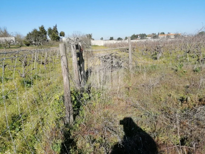 Terreno para Venda em Poceirão e Marateca Foto 10