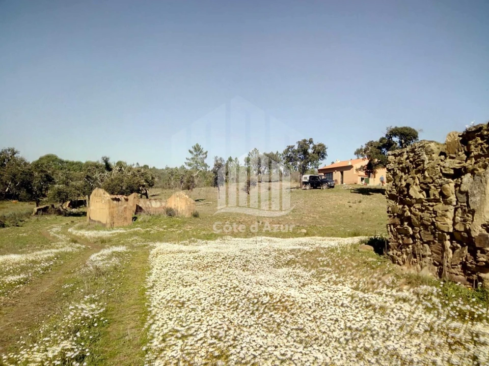 Terreno para Venda em Santiago do Cacém, Santa Cruz e São Bartolomeu da Serra Foto 2