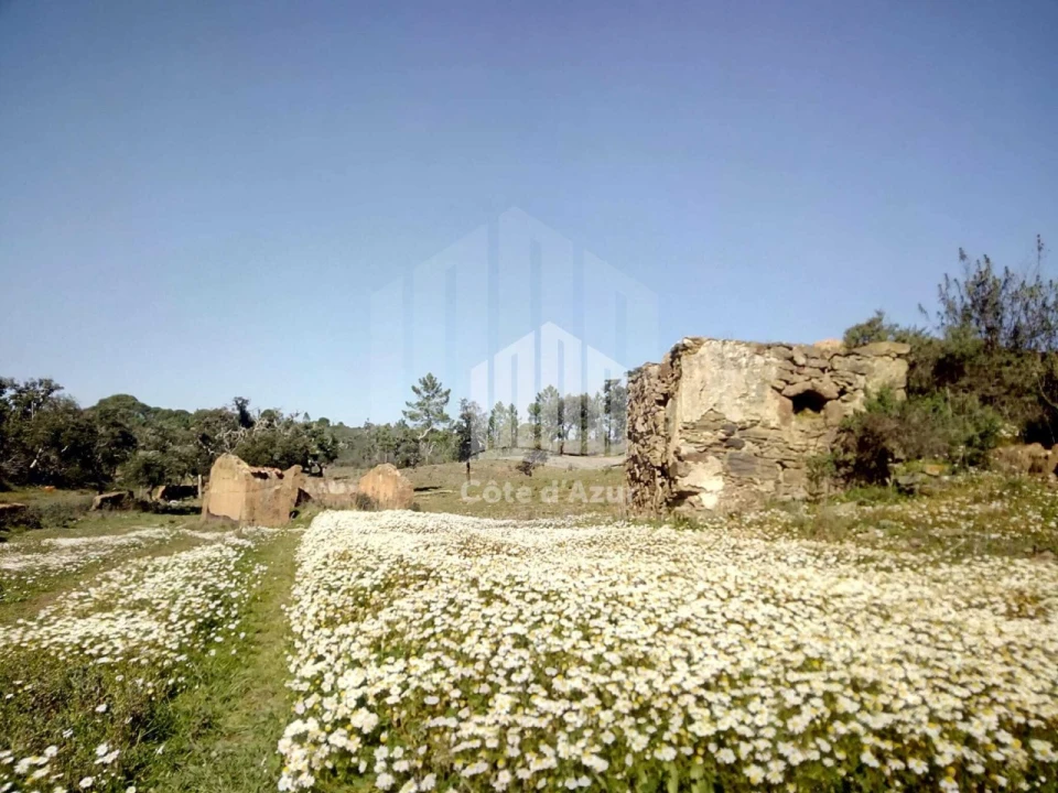 Terreno para Venda em Santiago do Cacém, Santa Cruz e São Bartolomeu da Serra Foto 4