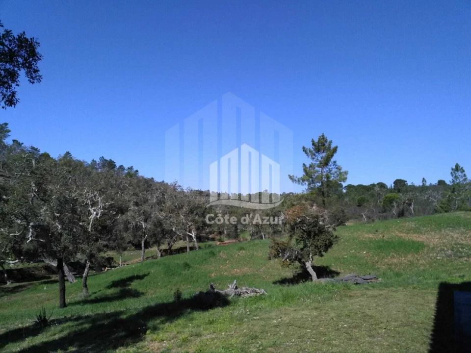 Terreno para Venda em Santiago do Cacém, Santa Cruz e São Bartolomeu da Serra Foto 10