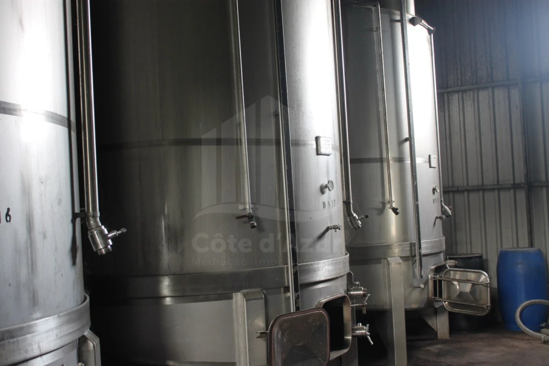 Negócio para Venda em Quinta do Anjo Foto 4