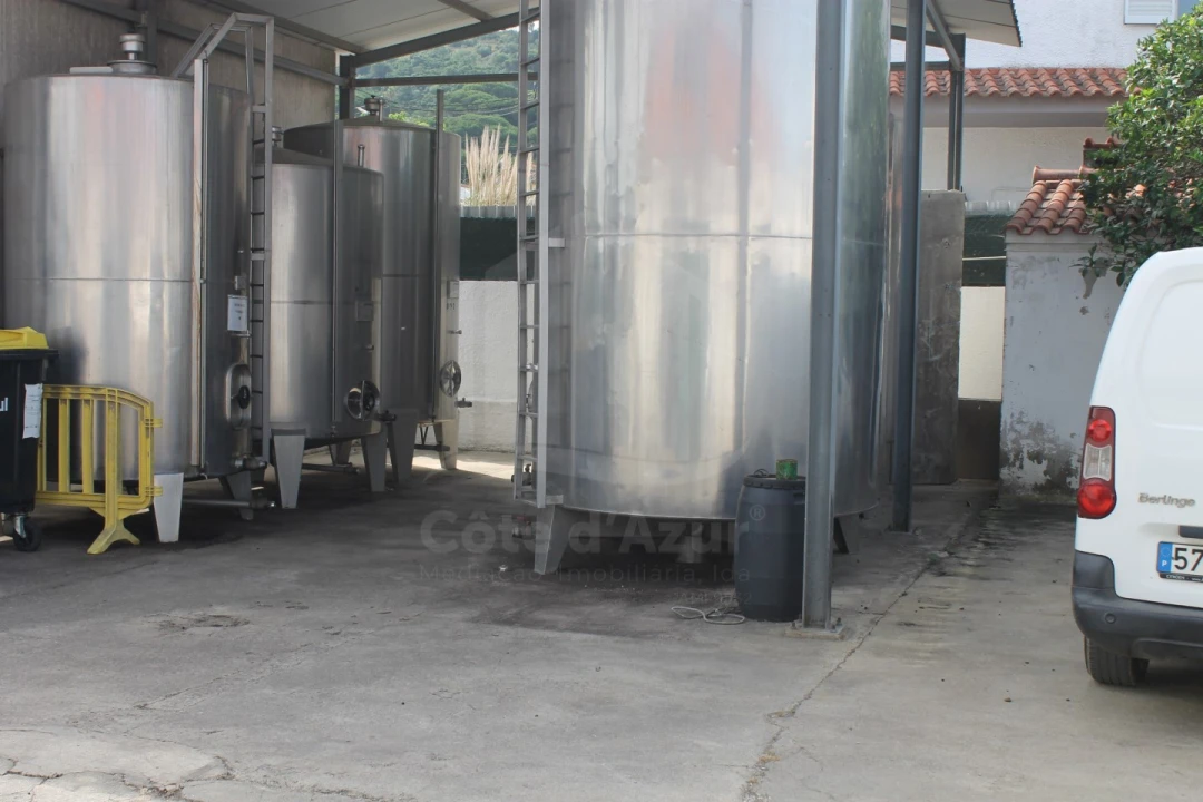 Negócio para Venda em Quinta do Anjo Foto 17